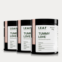 TUMMY LOVE | Kurkuma, Ingwer, Artischocke, Zimt und Inulin