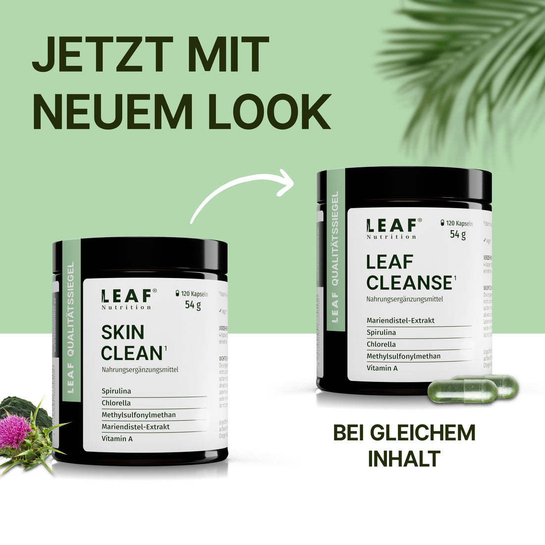 LEAF CLEANSE | Spirulina, Chlorella, Mariendistelextrakt & MSM