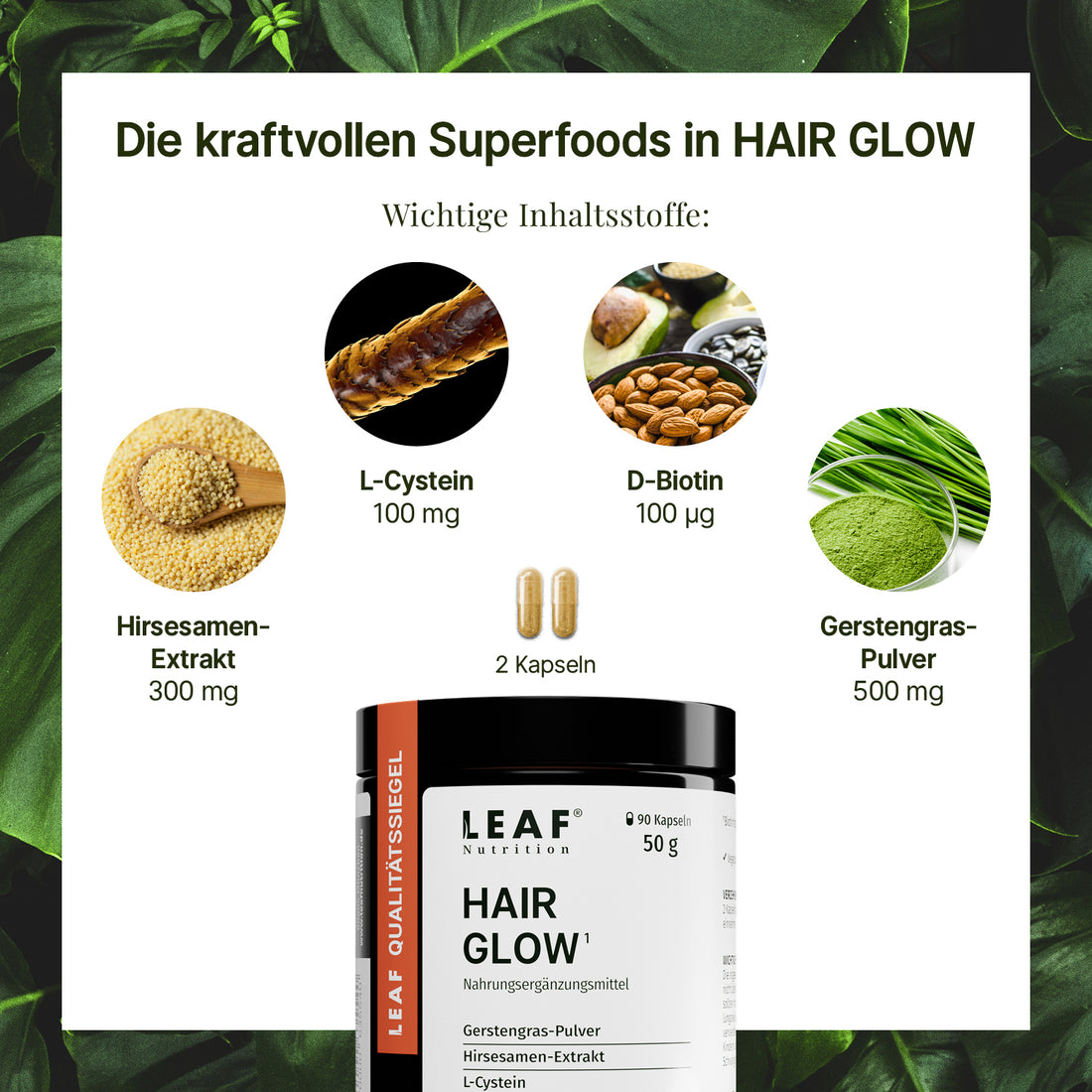 HAIR GLOW | Gerstengras, Hirsesamen, L-Cystein und D-Biotin