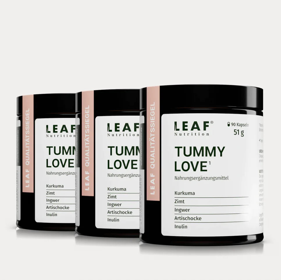 TUMMY LOVE | Kurkuma, Ingwer, Artischocke, Zimt und Inulin