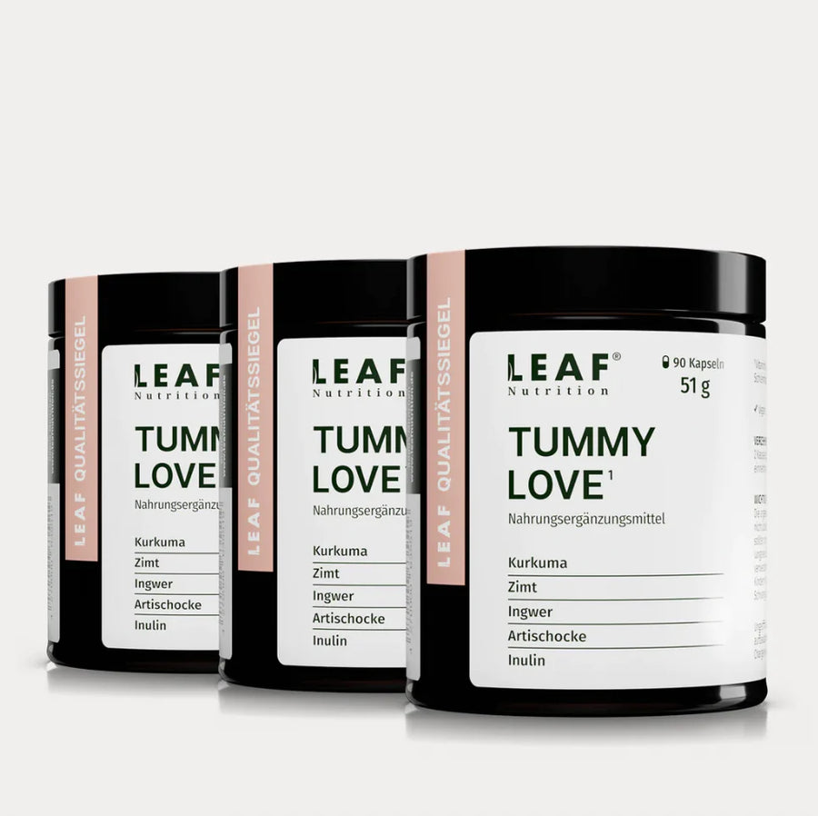 TUMMY LOVE | Kurkuma, Ingwer, Artischocke, Zimt und Inulin